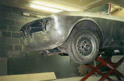 alfa8.jpg (80753 bytes)